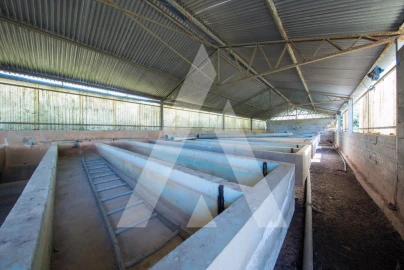 Armazém para Venda em Redinha