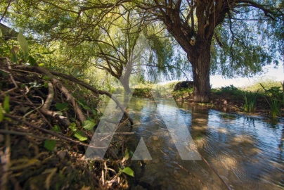Armazém para Venda em Redinha