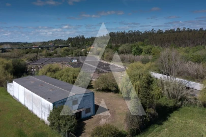 Armazém para Venda em Redinha