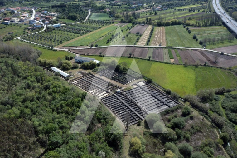 Armazém para Venda em Redinha Foto 2