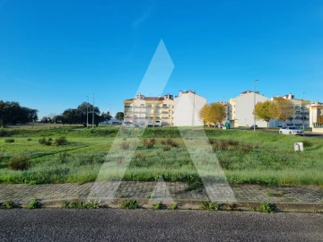 Terreno para Venda em Cartaxo e Vale da Pinta