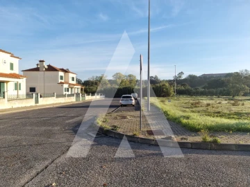 Terreno para Venda em Cartaxo e Vale da Pinta