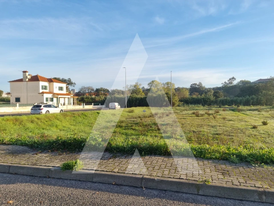 Terreno para Venda em Cartaxo e Vale da Pinta Foto 5