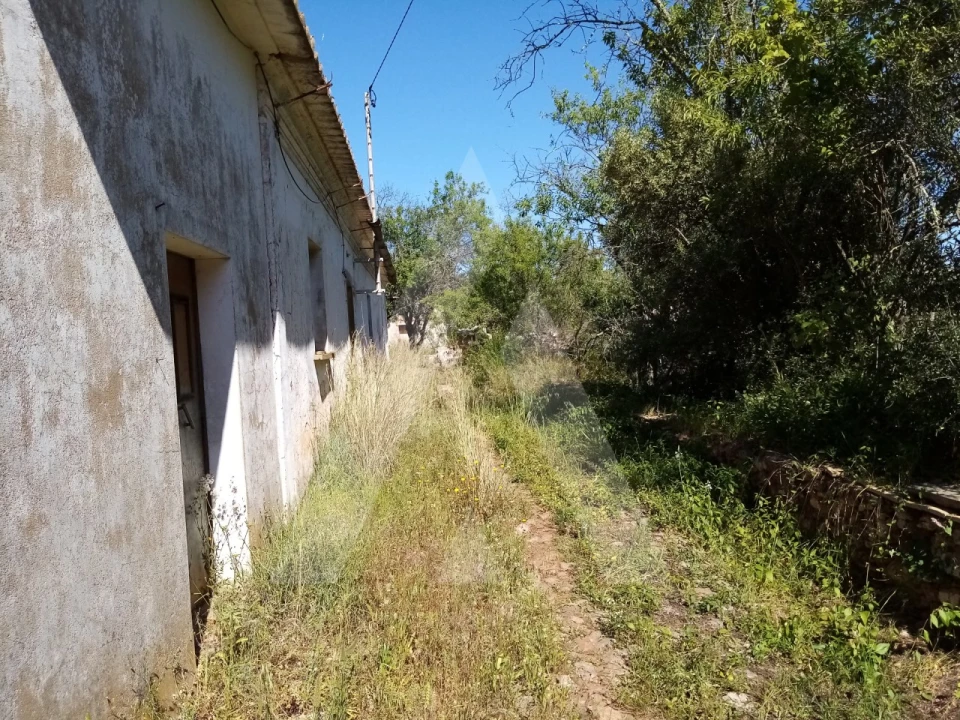 Terreno Misto para Venda em Querença, Tôr e Benafim Foto 3