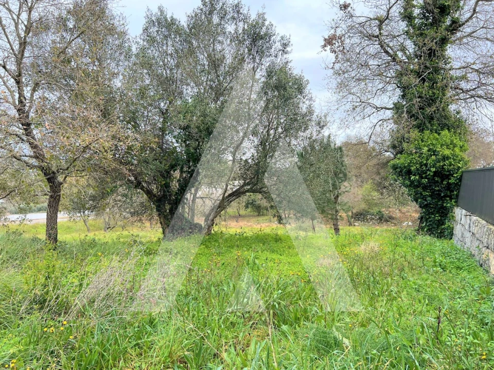 Terreno para Venda em Leiria, Pousos, Barreira e Cortes Foto 12