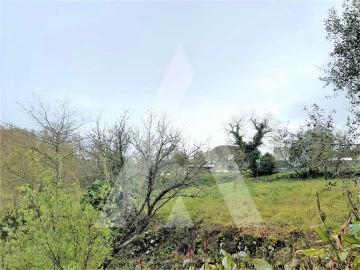 Terreno para Venda em Leiria, Pousos, Barreira e Cortes