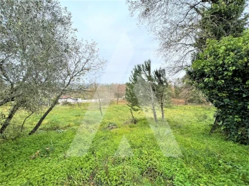 Terreno para Venda em Leiria, Pousos, Barreira e Cortes