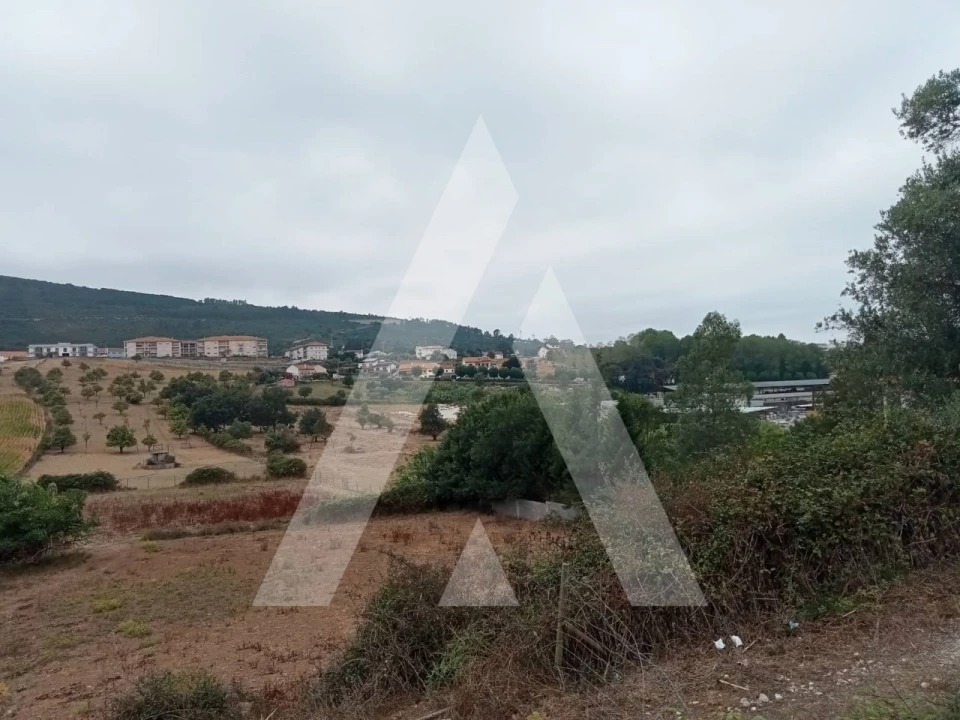 Terreno para Venda em Porto de Mós - São João Baptista e São Pedro Foto 17