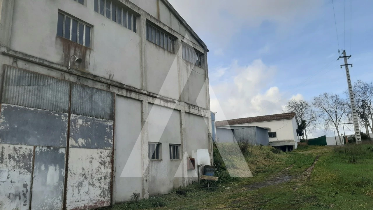 Armazém para Venda em Batalha Foto 9