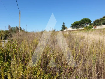 Terreno para Venda em Batalha