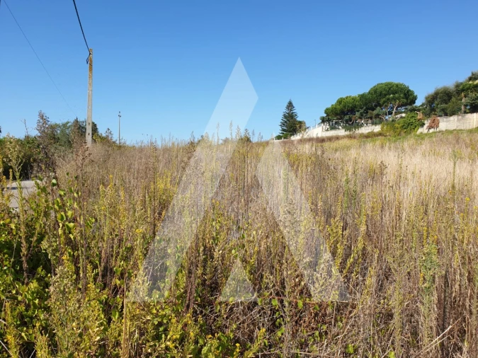 Terreno para Venda em Batalha Foto 7