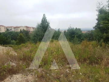 Terreno para Venda em São Martinho do Bispo e Ribeira de Frades