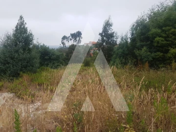 Terreno para Venda em São Martinho do Bispo e Ribeira de Frades