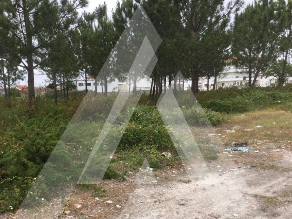 Terreno Comércio / Armazém para Venda em Marinha Grande Foto 3