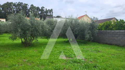 Terreno para Venda em Caranguejeira
