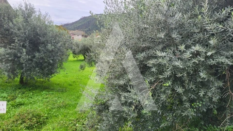 Terreno para Venda em Caranguejeira