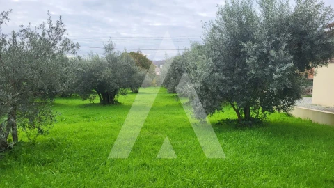 Terreno para Venda em Caranguejeira