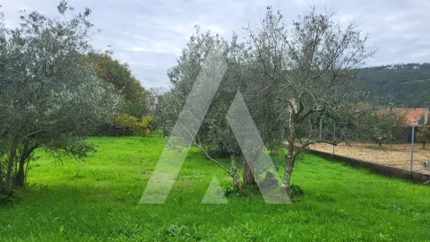 Terreno para Venda em Caranguejeira
