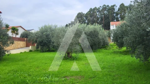 Terreno para Venda em Caranguejeira