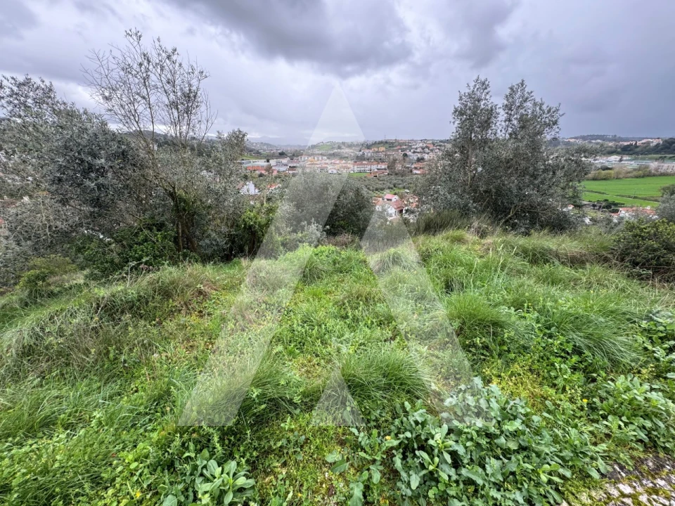 Terreno para Venda em Batalha Foto 6