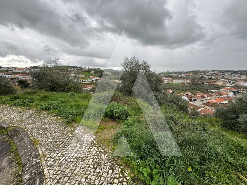 Terreno para Venda em Batalha Foto 7