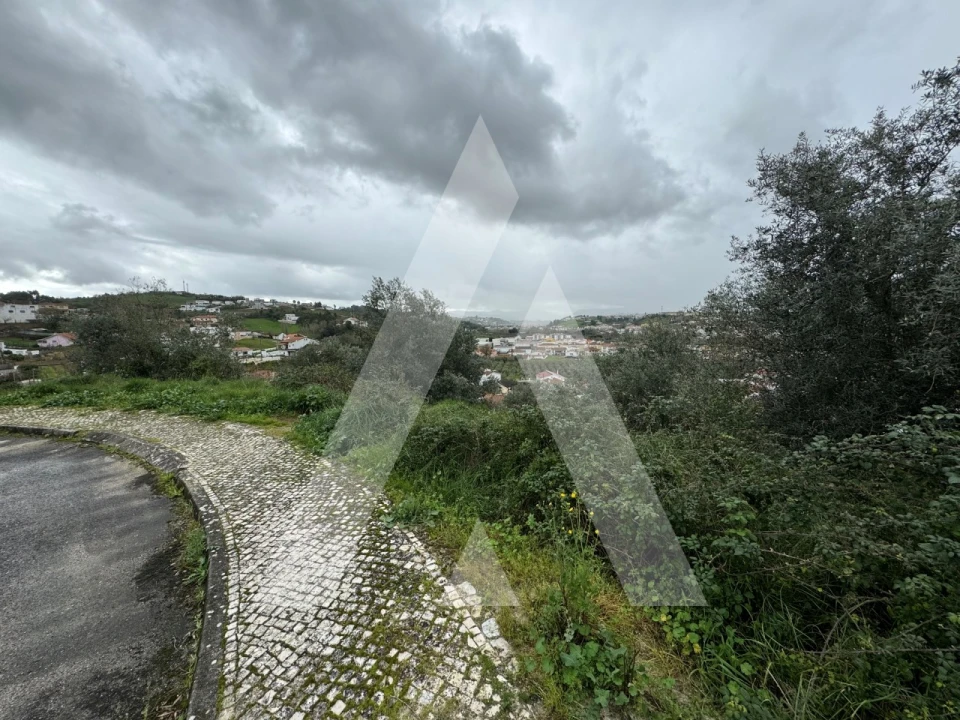 Terreno para Venda em Batalha Foto 8