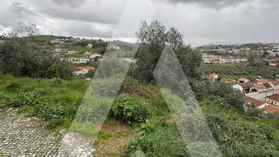 Terreno para Venda em Batalha
