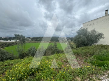 Terreno para Venda em Batalha