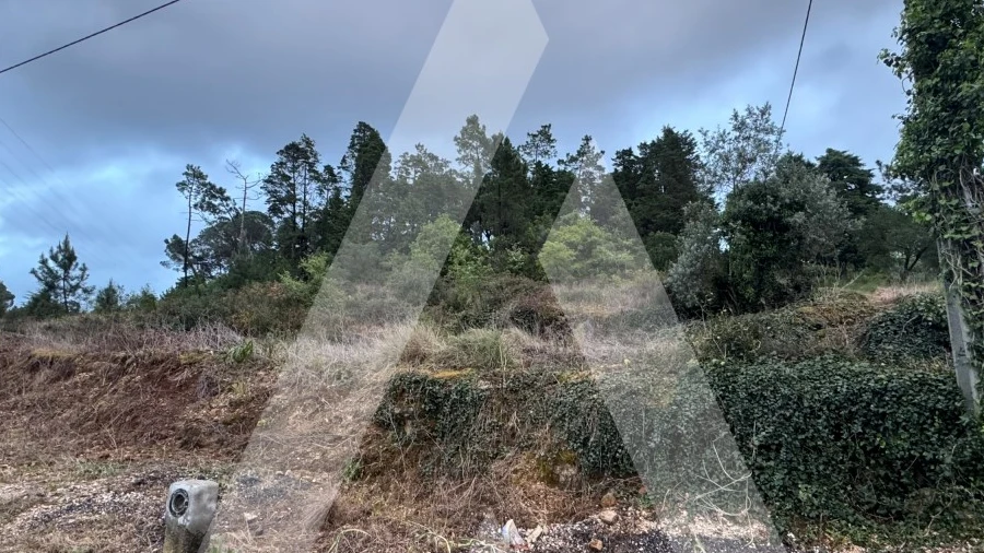Terreno para Venda em Assafarge e Antanhol
