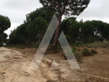 Terreno para Venda em Pegões