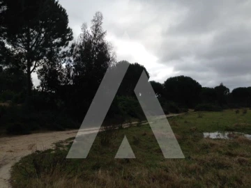 Terreno para Venda em Pegões