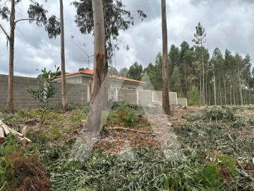 Terreno para Venda em Oliveira do Bairro