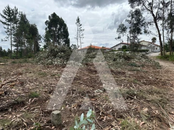 Terreno para Venda em Oliveira do Bairro
