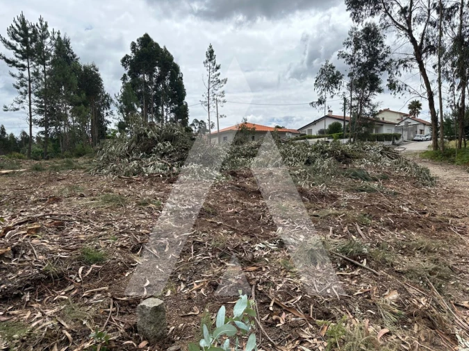 Terreno para Venda em Oliveira do Bairro Foto 15