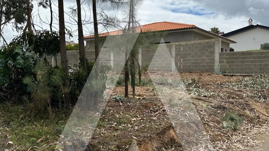 Terreno para Venda em Oliveira do Bairro