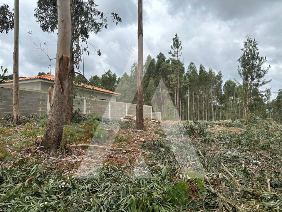 Terreno para Venda em Oliveira do Bairro Foto 2