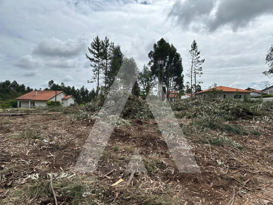 Terreno para Venda em Oliveira do Bairro Foto 7