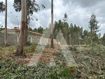 Terreno para Venda em Oliveira do Bairro