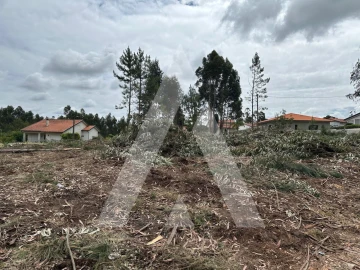 Terreno para Venda em Oliveira do Bairro