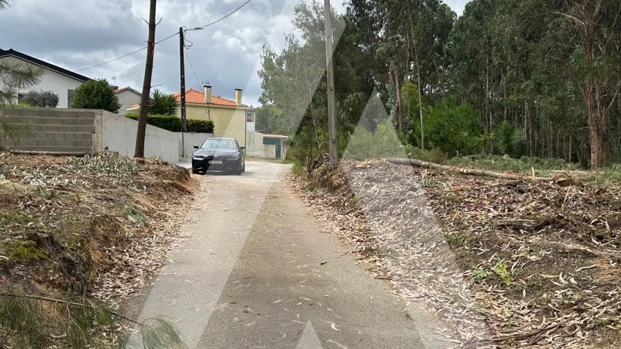 Terreno para Venda em Oliveira do Bairro