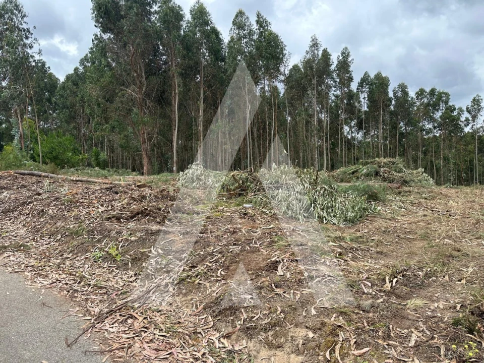 Terreno para Venda em Oliveira do Bairro Foto 2