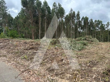 Terreno para Venda em Oliveira do Bairro