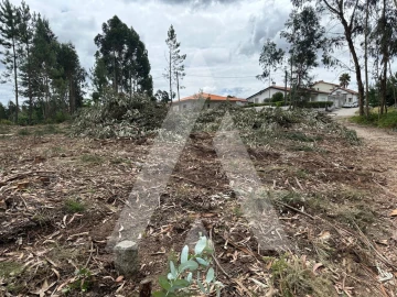 Terreno para Venda em Oliveira do Bairro