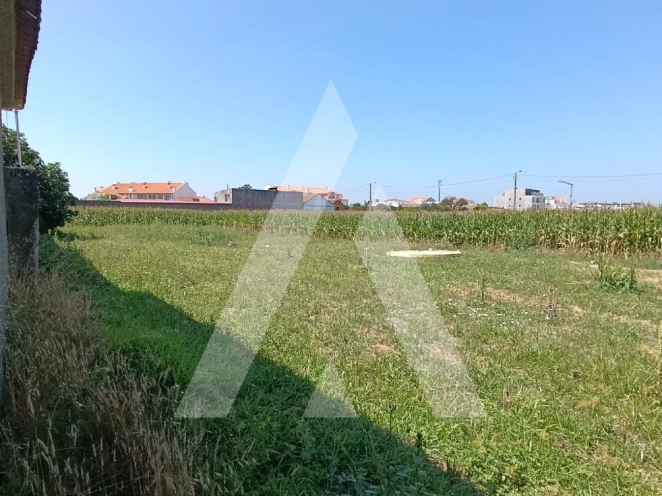 Terreno para Venda em Oiã Foto 2