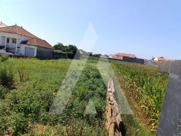 Terreno para Venda em Oiã