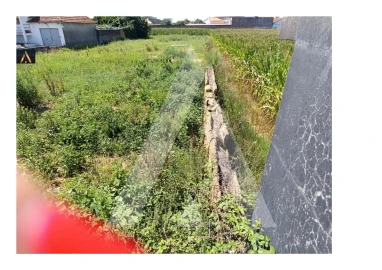 Terreno para Venda em Oiã