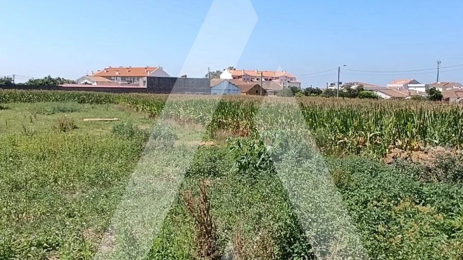 Terreno para Venda em Oiã