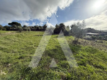 Terreno para Venda em Arrabal