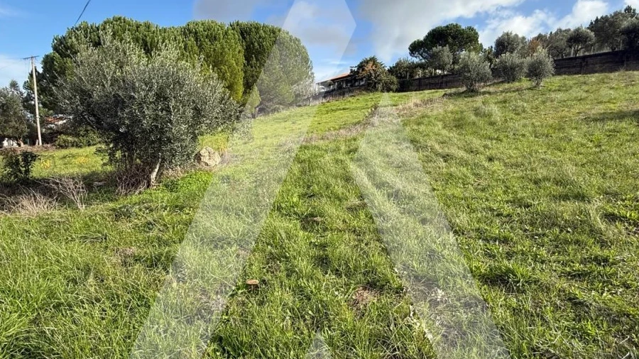 Terreno para Venda em Arrabal