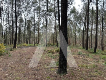 Terreno para Venda em Marrazes e Barosa